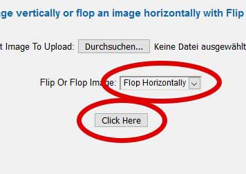 flipapicture.com flop horizontally