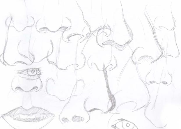 nose practice drawings