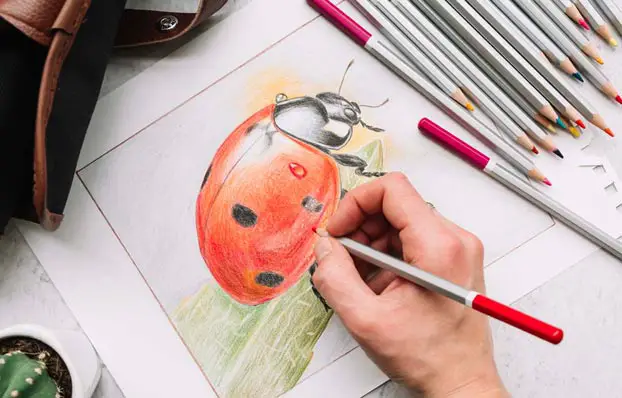 finishing projects, drawing a ladybug