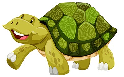 turtle cartoon