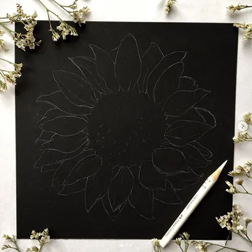 Gothic Sunflower Pencil sketch - Flower drawing -Black and white sketch by  CallisC 