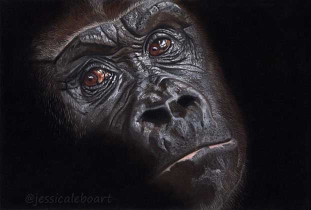 gorilla drawing on black paper
