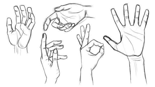 hand sketches