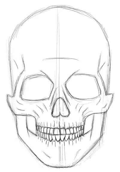 skull drawing