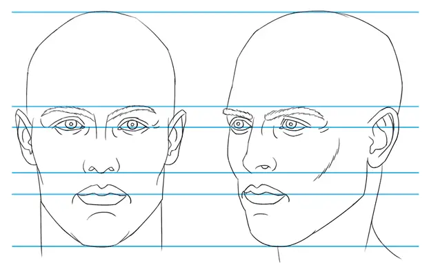 proportions of the face, front and 3/4 view
