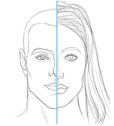 face drawing, difference between man and woman