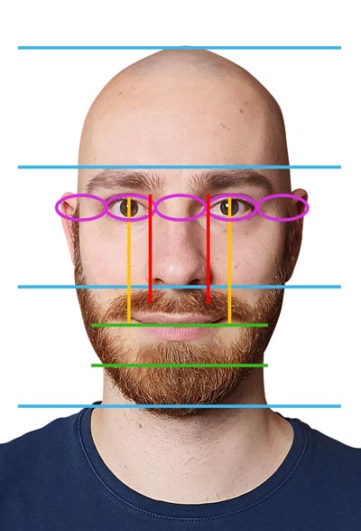 proportions of the face, real life example