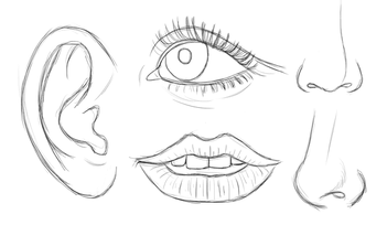 Why Can't I Draw Faces? These Are The 5 Reasons Why!