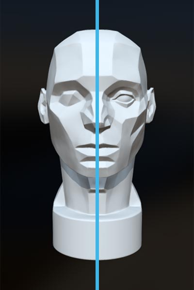 asymmetry of the asaro head