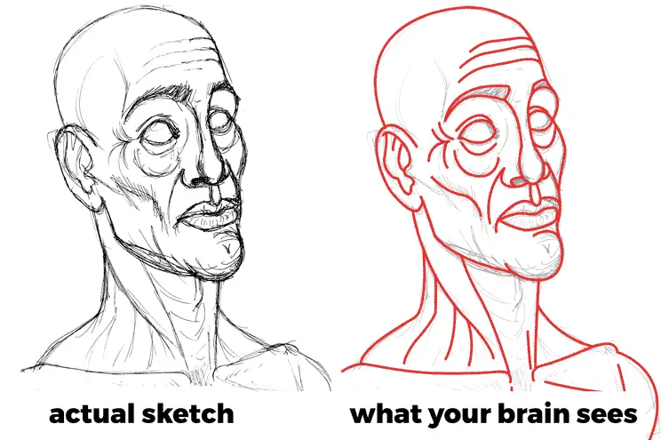 a sketch and the average lines your brain sees