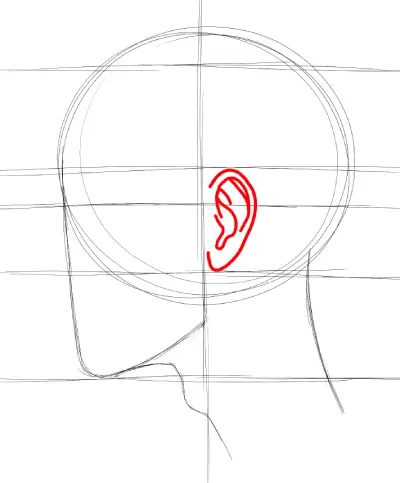 ear details