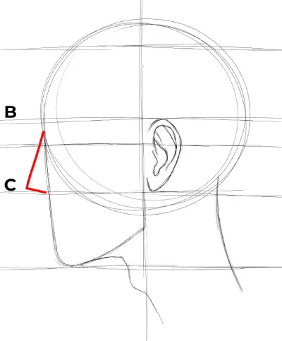 drawing the nose with a basic triangle
