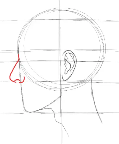 drawing the nose, rounding forms