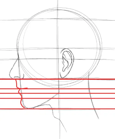 position of the lower lip