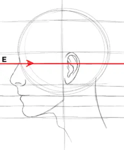 How Anyone Can Draw A Stunning Side Profile In 13 Steps