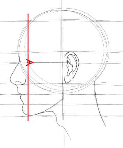 horizontal position of the eye in a side profile