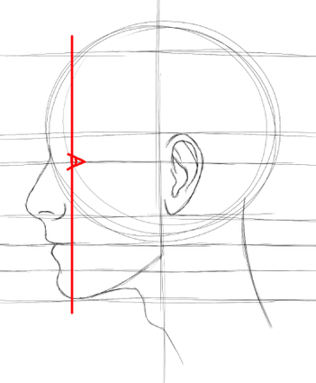 how to draw a face from the side step by step