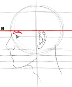 How Anyone Can Draw A Stunning Side Profile In 13 Steps