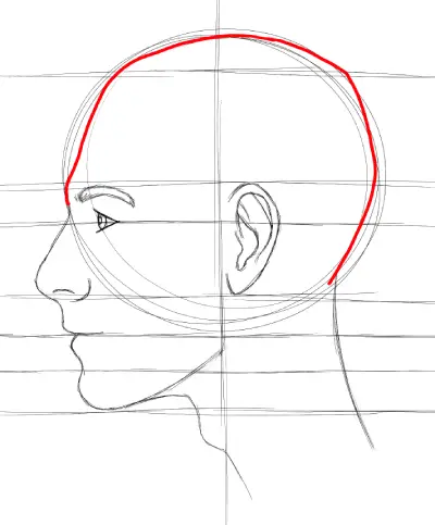 refining the shape of the head