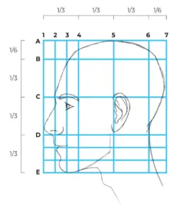 How Anyone Can Draw A Stunning Side Profile In 13 Steps