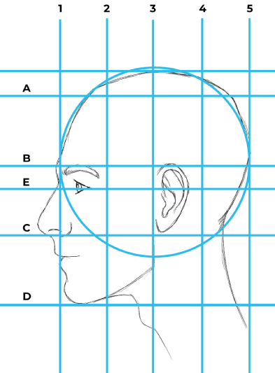 side profile proportions method 2