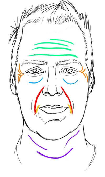 common wrinkles on a face