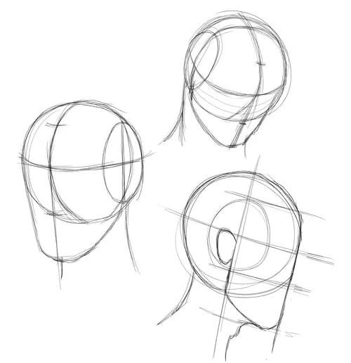 drawing a head from any angle with the loomis method