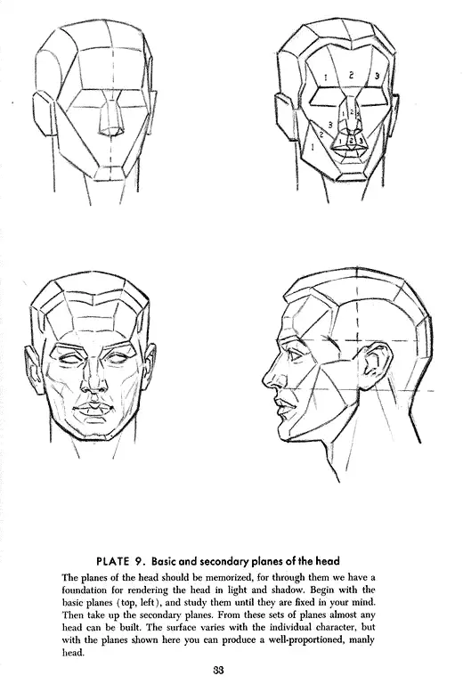 loomis method - basic and secondary planes of the head